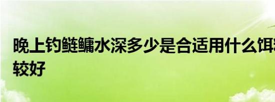 晚上钓鲢鳙水深多少是合适用什么饵料和钩比较好