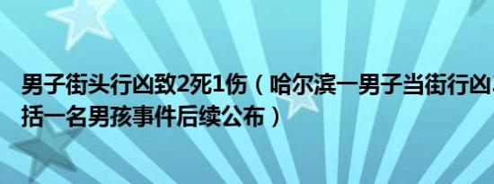 男子街头行凶致2死1伤（哈尔滨一男子当街行凶3人死亡 包括一名男孩事件后续公布）