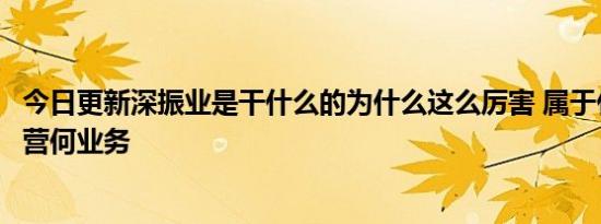 今日更新深振业是干什么的为什么这么厉害 属于什么级别主营何业务