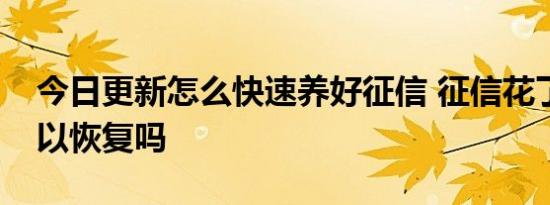 今日更新怎么快速养好征信 征信花了半年可以恢复吗