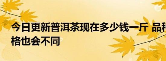 今日更新普洱茶现在多少钱一斤 品种不同价格也会不同