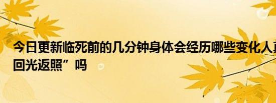 今日更新临死前的几分钟身体会经历哪些变化人真的会有“回光返照”吗