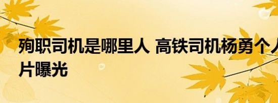 殉职司机是哪里人 高铁司机杨勇个人资料照片曝光