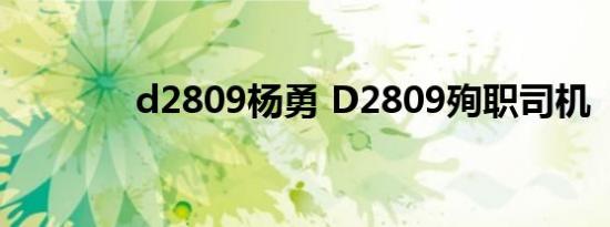 d2809杨勇 D2809殉职司机