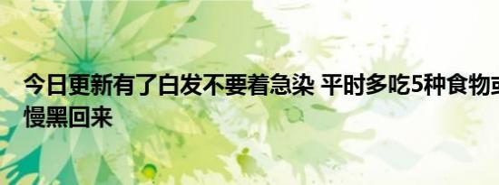 今日更新有了白发不要着急染 平时多吃5种食物或让白发慢慢黑回来