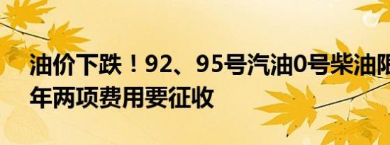 油价下跌！92、95号汽油0号柴油限价下半年两项费用要征收