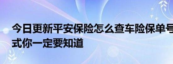 今日更新平安保险怎么查车险保单号 这些方式你一定要知道