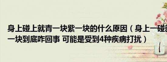 身上碰上就青一块紫一块的什么原因（身上一碰就青一块紫一块到底咋回事 可能是受到4种疾病打扰）