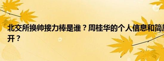 北交所换帅接力棒是谁？周桂华的个人信息和简历在哪里公开？