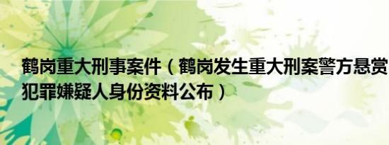 鹤岗重大刑事案件（鹤岗发生重大刑案警方悬赏30万抓捕 犯罪嫌疑人身份资料公布）