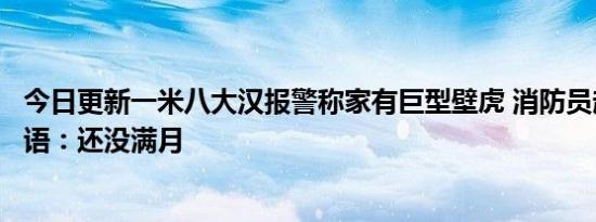 今日更新一米八大汉报警称家有巨型壁虎 消防员赶来顿时无语：还没满月