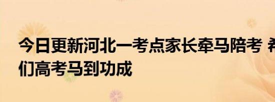 今日更新河北一考点家长牵马陪考 希望孩子们高考马到功成