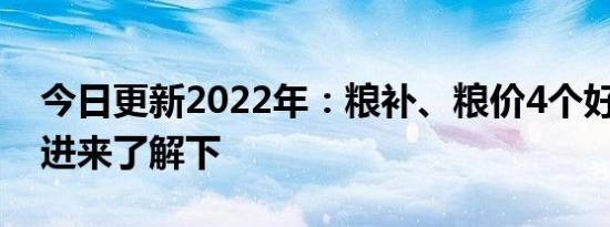 今日更新2022年：粮补、粮价4个好消息！ 进来了解下