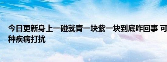 今日更新身上一碰就青一块紫一块到底咋回事 可能是受到4种疾病打扰