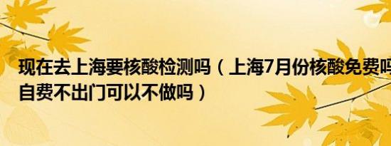 现在去上海要核酸检测吗（上海7月份核酸免费吗 为什么要自费不出门可以不做吗）