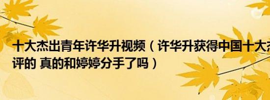 十大杰出青年许华升视频（许华升获得中国十大杰出青年谁评的 真的和婷婷分手了吗）