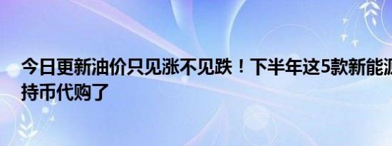 今日更新油价只见涨不见跌！下半年这5款新能源车不少人持币代购了