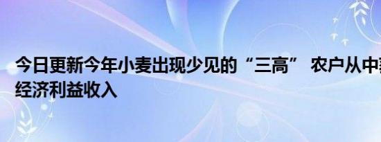 今日更新今年小麦出现少见的“三高” 农户从中获得最高的经济利益收入