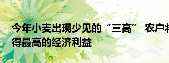 今年小麦出现少见的“三高” 农户将从中获得最高的经济利益