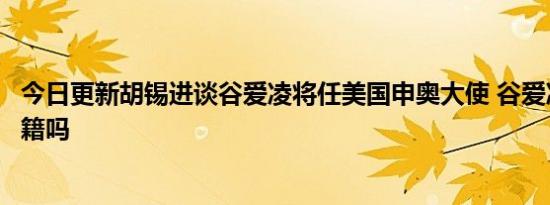 今日更新胡锡进谈谷爱凌将任美国申奥大使 谷爱凌是双重国籍吗