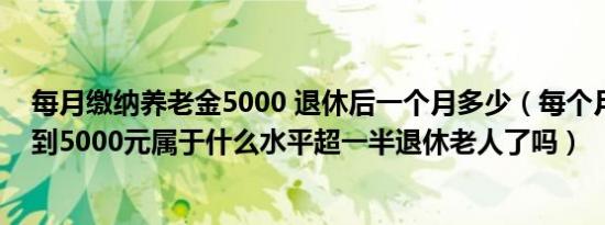 每月缴纳养老金5000 退休后一个月多少（每个月养老金达到5000元属于什么水平超一半退休老人了吗）