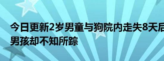 今日更新2岁男童与狗院内走失8天后狗回家 男孩却不知所踪