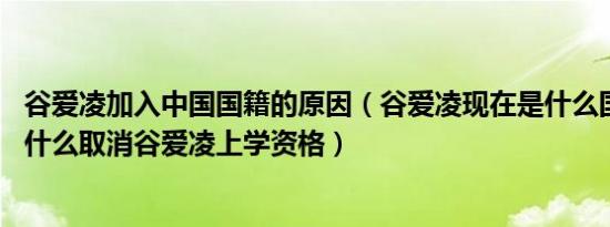 谷爱凌加入中国国籍的原因（谷爱凌现在是什么国籍 美国为什么取消谷爱凌上学资格）