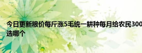 今日更新粮价每斤涨5毛统一耕种每月给农民3000元！你会选哪个