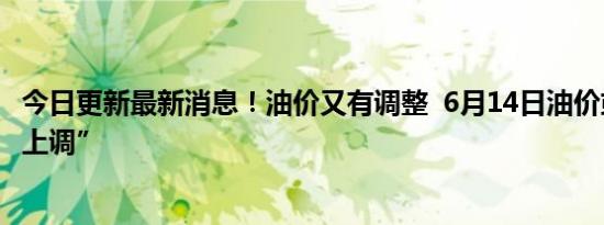 今日更新最新消息！油价又有调整  6月14日油价或将“大幅上调”