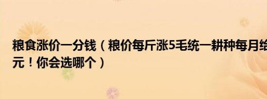 粮食涨价一分钱（粮价每斤涨5毛统一耕种每月给农民3000元！你会选哪个）