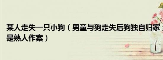 某人走失一只小狗（男童与狗走失后狗独自归家 当地回应疑是熟人作案）