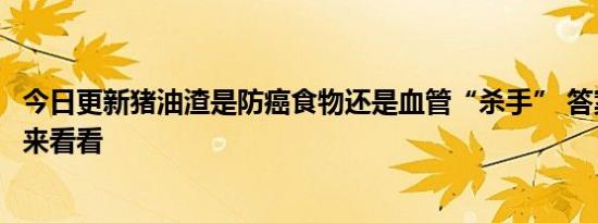 今日更新猪油渣是防癌食物还是血管“杀手” 答案来了建议来看看