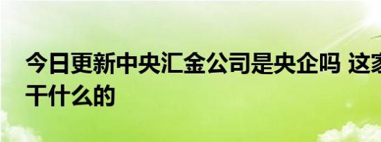 今日更新中央汇金公司是央企吗 这家公司是干什么的