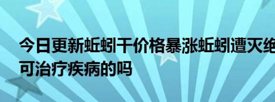 今日更新蚯蚓干价格暴涨蚯蚓遭灭绝式捕杀 可治疗疾病的吗