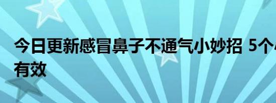 今日更新感冒鼻子不通气小妙招 5个小妙招或有效