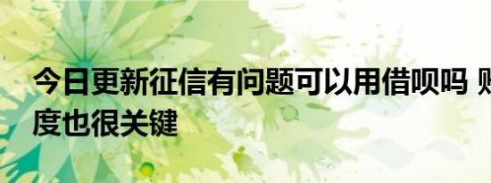 今日更新征信有问题可以用借呗吗 账户活跃度也很关键