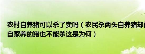 农村自养猪可以杀了卖吗（农民杀两头自养猪却被罚4万！ 自家养的猪也不能杀这是为何）