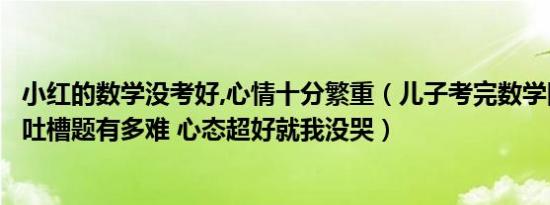 小红的数学没考好,心情十分繁重（儿子考完数学回家跟妈妈吐槽题有多难 心态超好就我没哭）