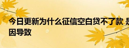 今日更新为什么征信空白贷不了款 是这个原因导致