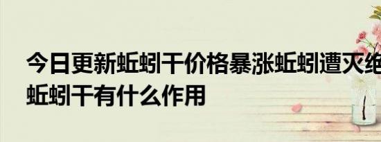 今日更新蚯蚓干价格暴涨蚯蚓遭灭绝式捕杀 蚯蚓干有什么作用