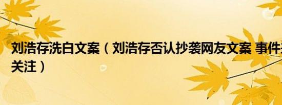 刘浩存洗白文案（刘浩存否认抄袭网友文案 事件来龙去脉引关注）