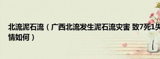 北流泥石流（广西北流发生泥石流灾害 致7死1失联 现场灾情如何）