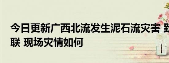 今日更新广西北流发生泥石流灾害 致7死1失联 现场灾情如何