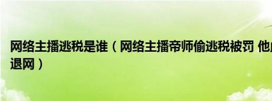 网络主播逃税是谁（网络主播帝师偷逃税被罚 他此前为什么退网）