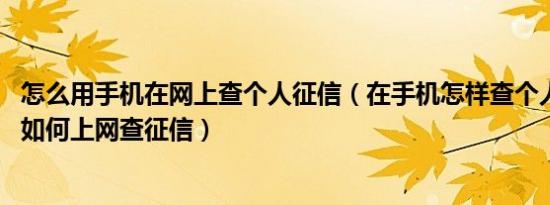 怎么用手机在网上查个人征信（在手机怎样查个人征信 教你如何上网查征信）