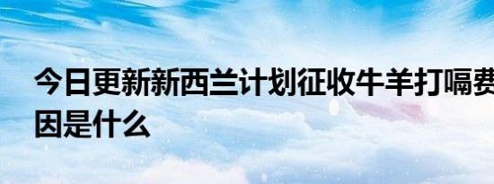 今日更新新西兰计划征收牛羊打嗝费 收费原因是什么