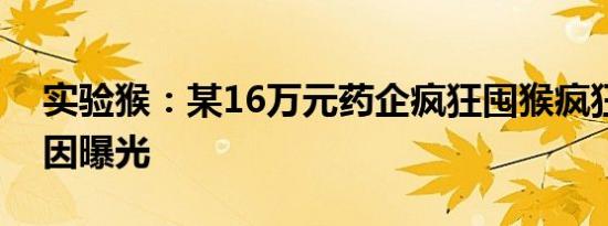 实验猴：某16万元药企疯狂囤猴疯狂涨价原因曝光