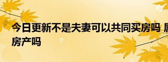 今日更新不是夫妻可以共同买房吗 属于共同房产吗