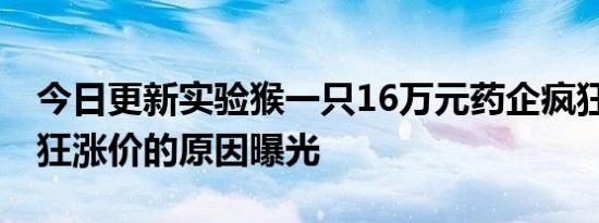 今日更新实验猴一只16万元药企疯狂囤猴 疯狂涨价的原因曝光