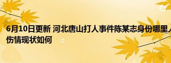 6月10日更新 河北唐山打人事件陈某志身份哪里人 被打女子伤情现状如何